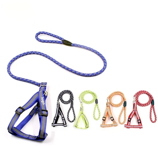 Glowing Pet Rope 1
