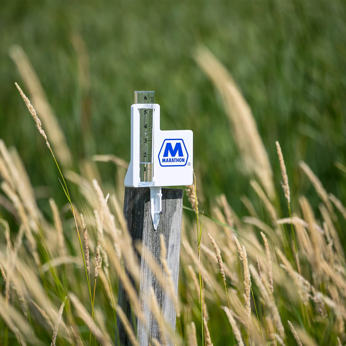 Classic Jumbo Rain Gauge 1