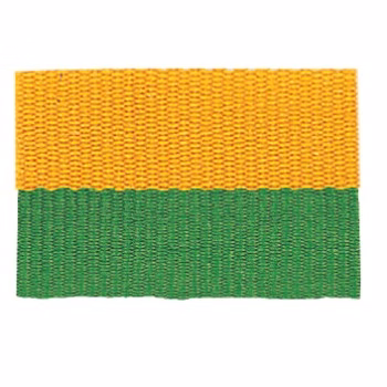 Green/Gold "V" Neck Ribbon with Clip, 7/8" wide