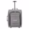 Graphite 20" Upright Luggage