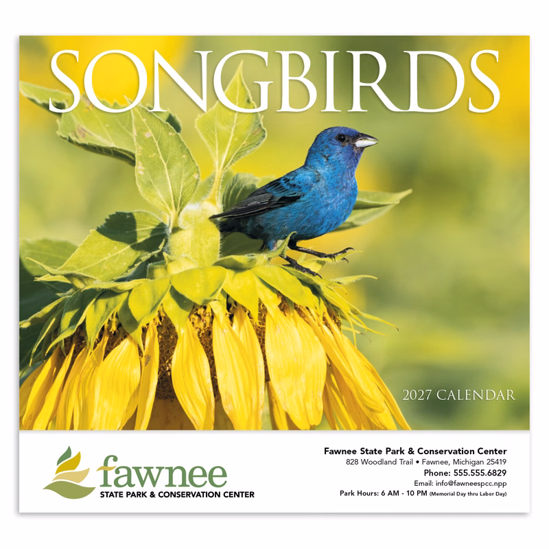 HotLine® Products Songbirds Appointment Calendar - Stapled