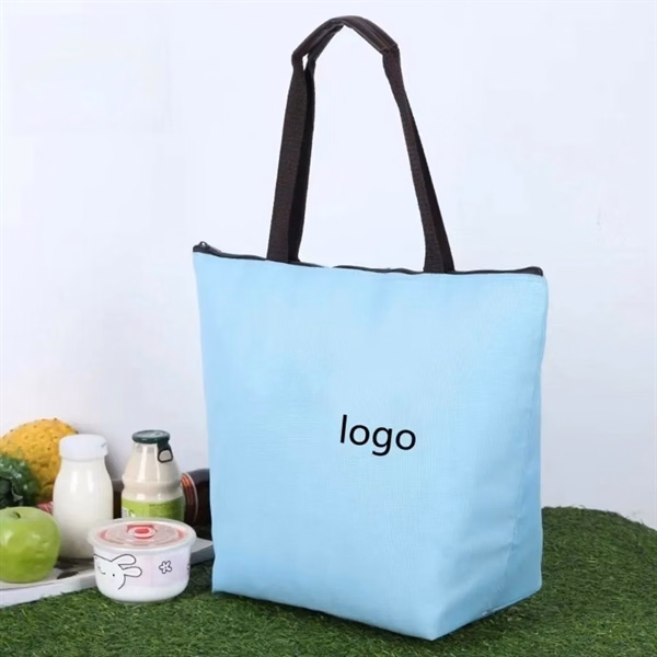 Large Insulated Picnic Tote Bag