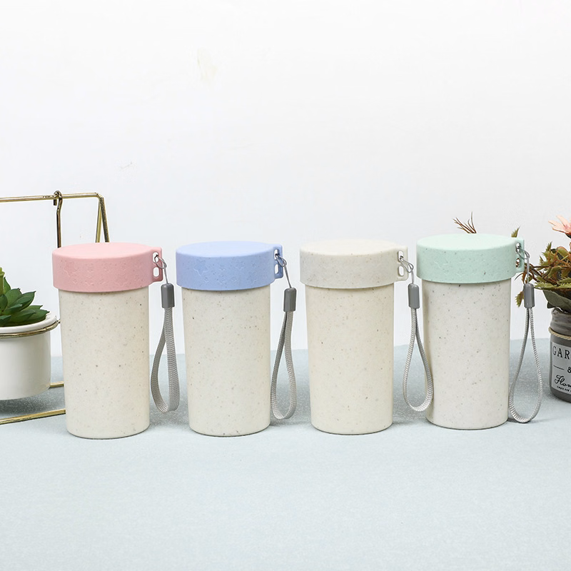 Reusable Wheat Straw Double-Layer Water Cup