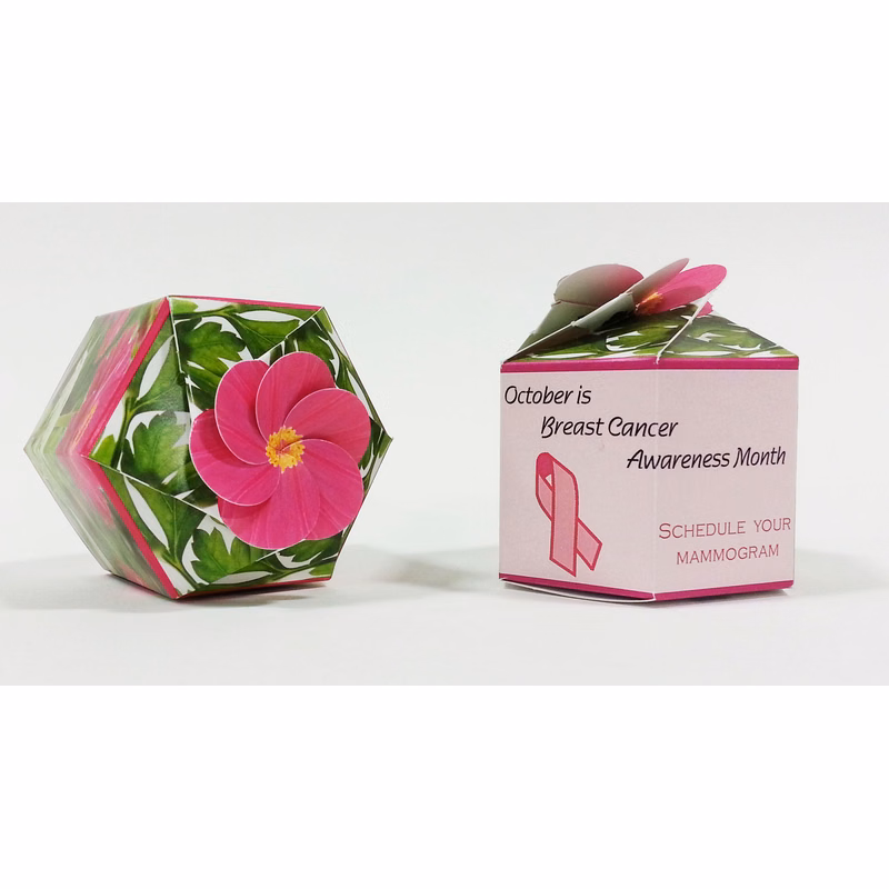Zinnia 'Illumination' SeedGems Paper Planter - Biodegradable grow kit