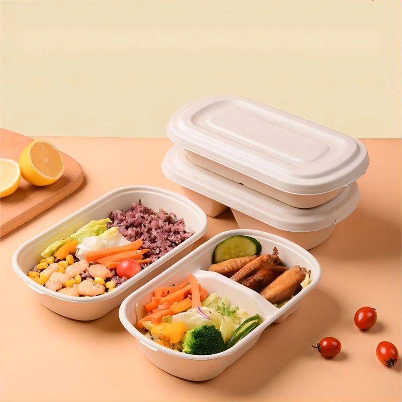 Light Food Box Disposable Degradable Pulp Packaging Lunch Bo