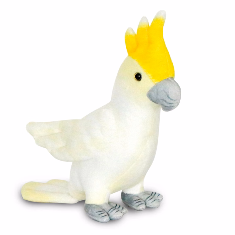 White Parakeet