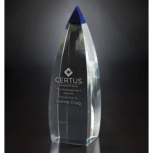 Vetri Award 1