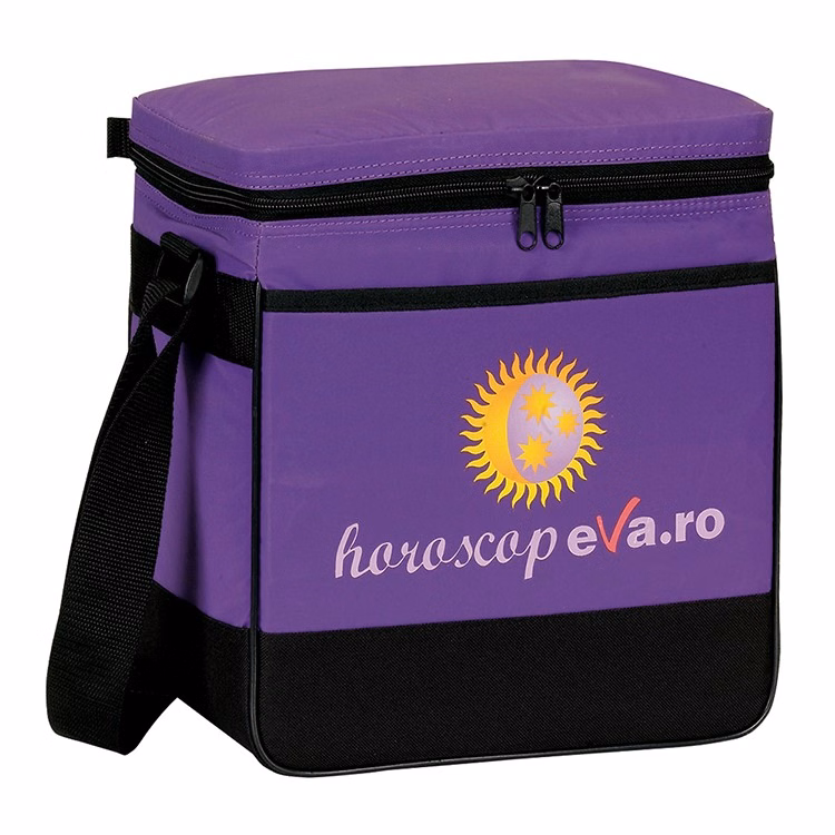 Insulated 12 Pack Cooler