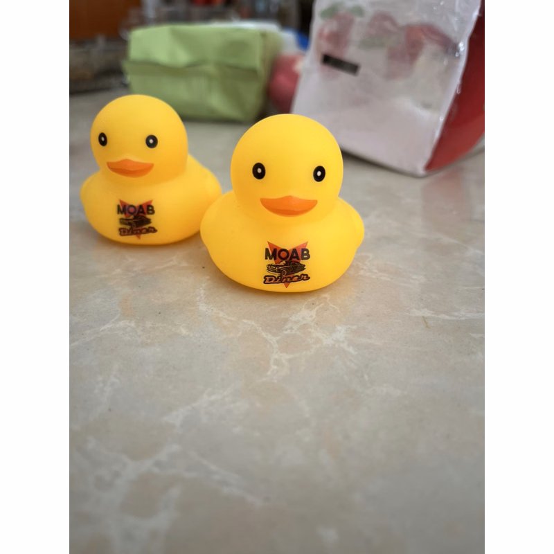 Ducks Toy