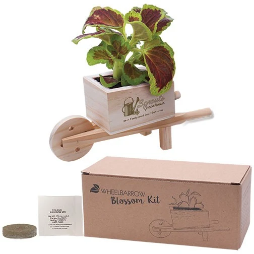 Wooden Wheel Barrow Blossom Kit 1