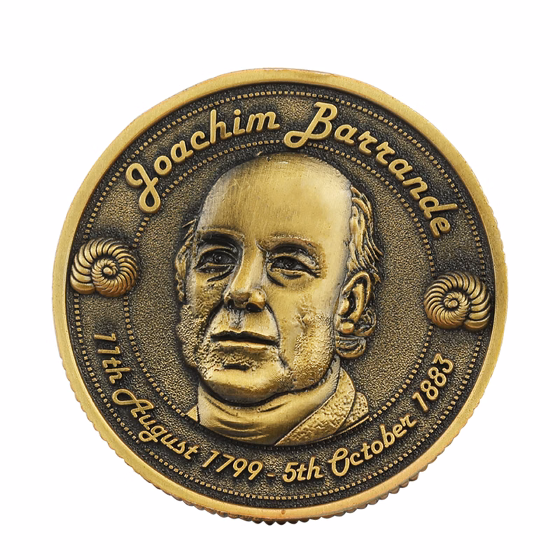 Zinc Alloy Made Plating Coins