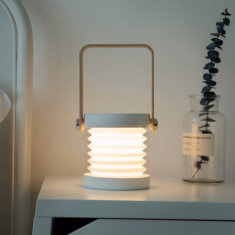 Indoor Led Night Lamp