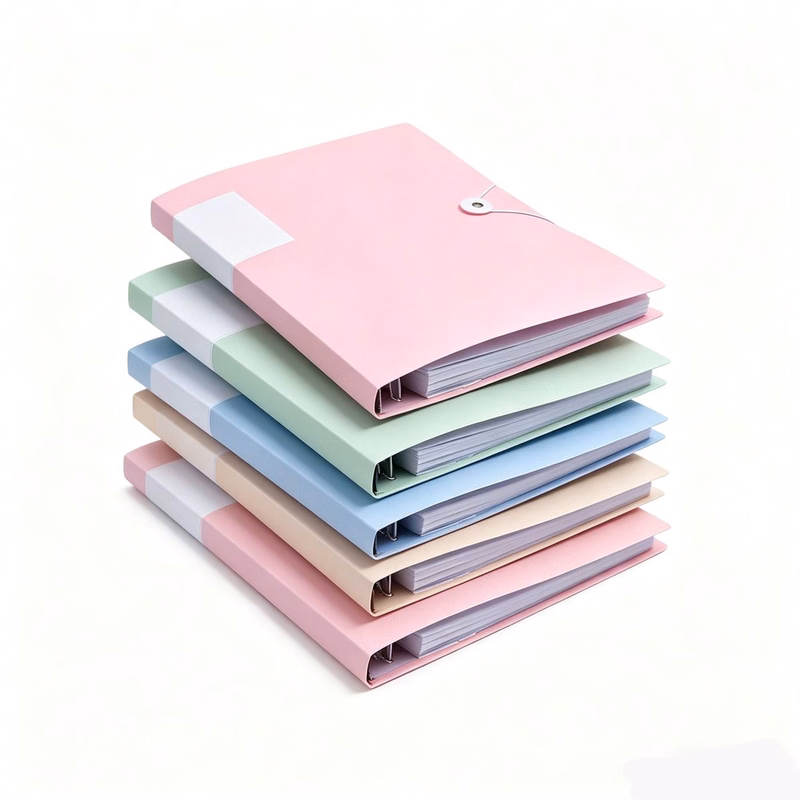 A4 Transparent Folder