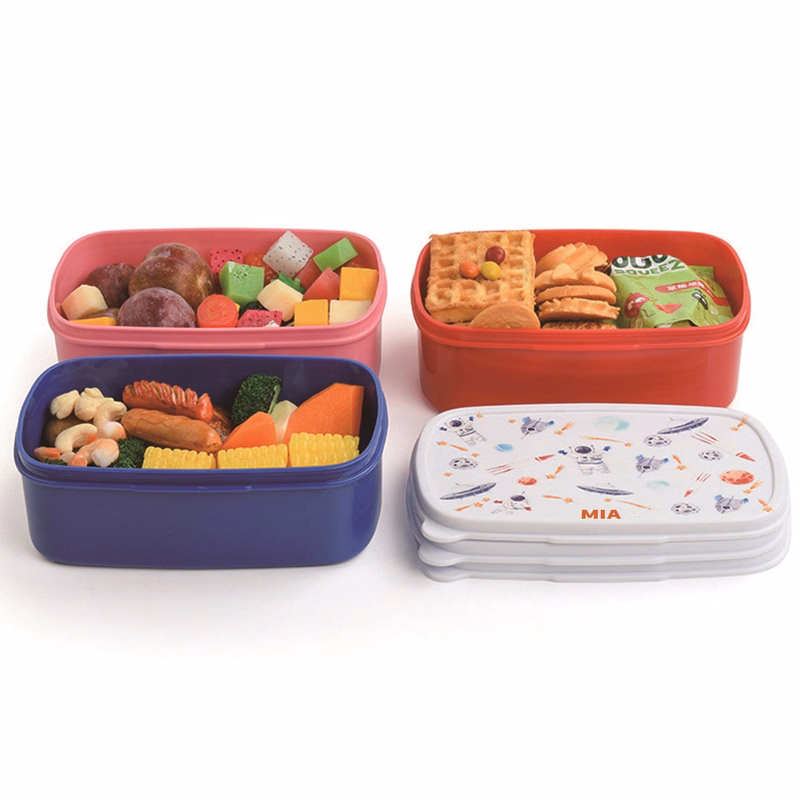 Single-Layer Lunch Box