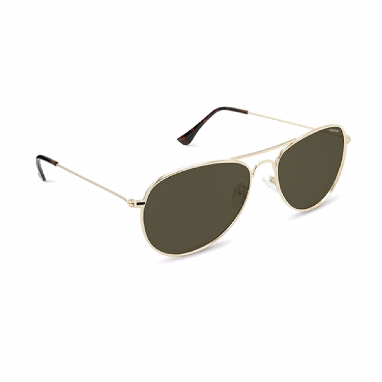 Nectar Gold Kitty Hawk Polarized Sunglasses