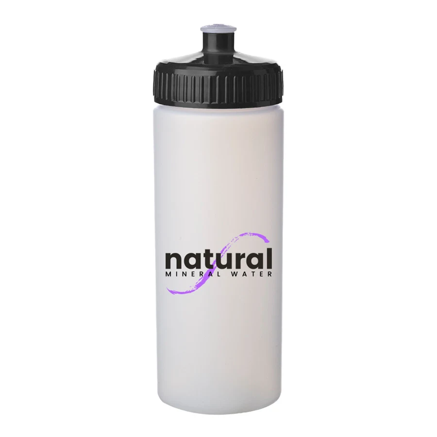 20 oz. Frosted Plastic Water Bottles 1