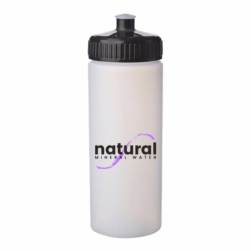 20 oz. Frosted Plastic Water Bottles