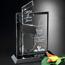 Intrepid Award 1