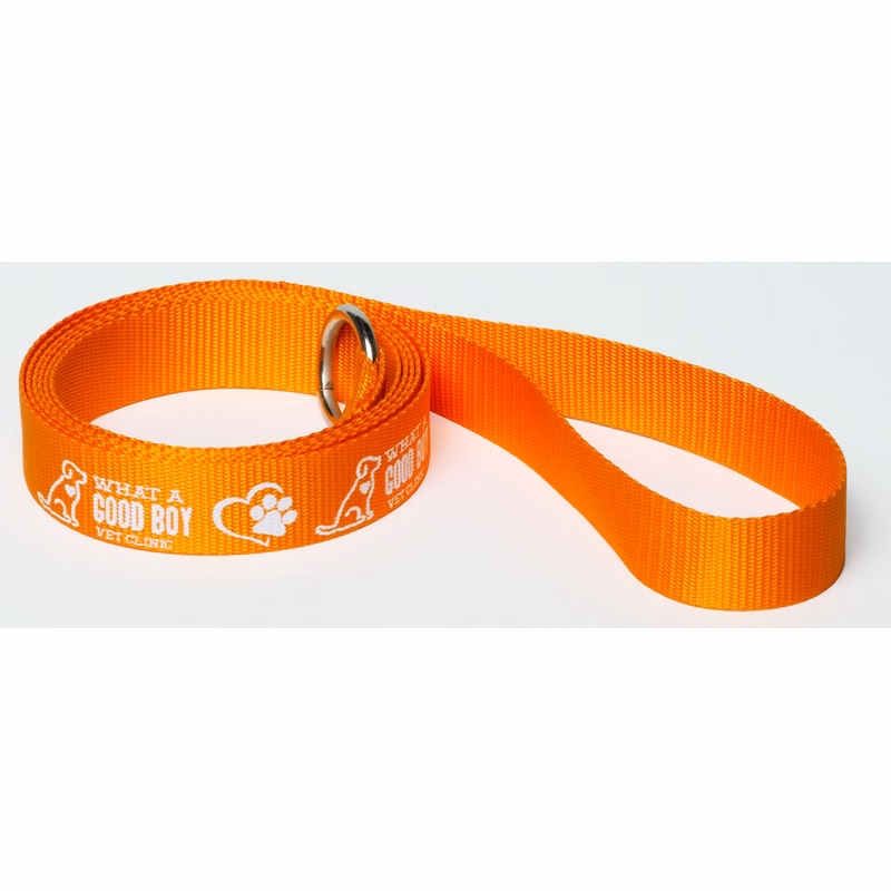 6' Pet Slip Leads