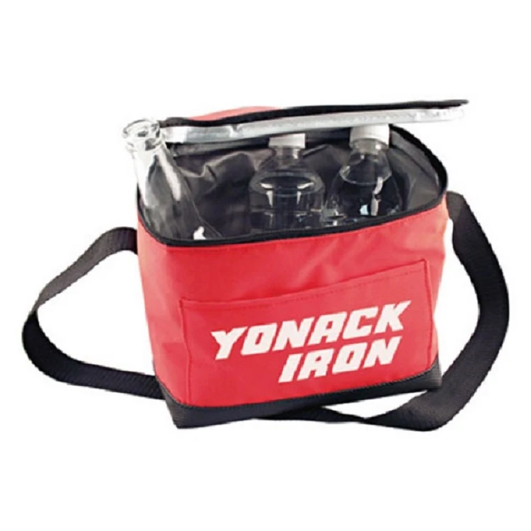 6 Pack Collapsible Cooler 1