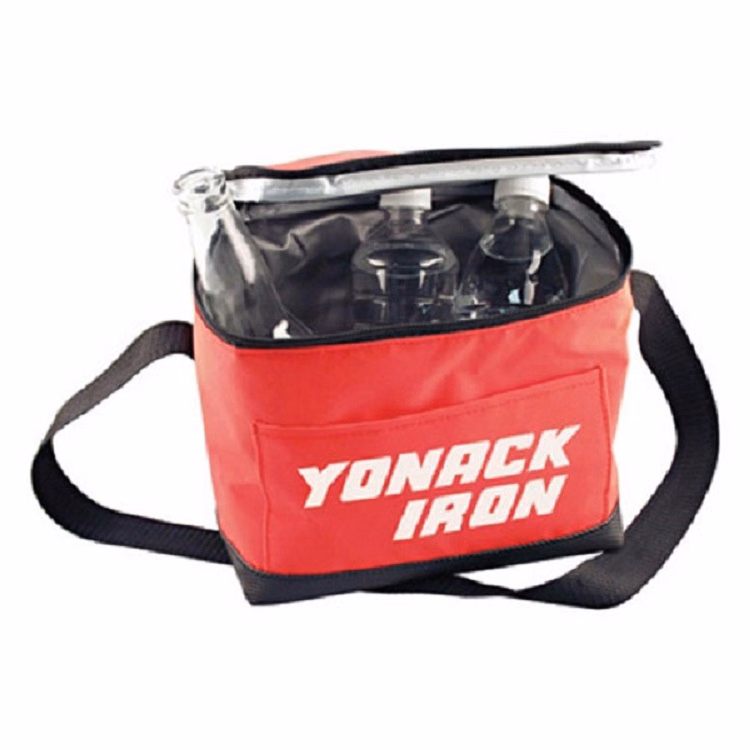 6 Pack Collapsible Cooler
