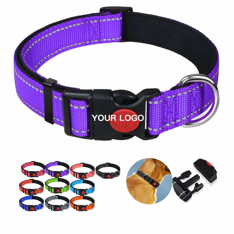 Weather Resistant Dog Collar for Walking and Training