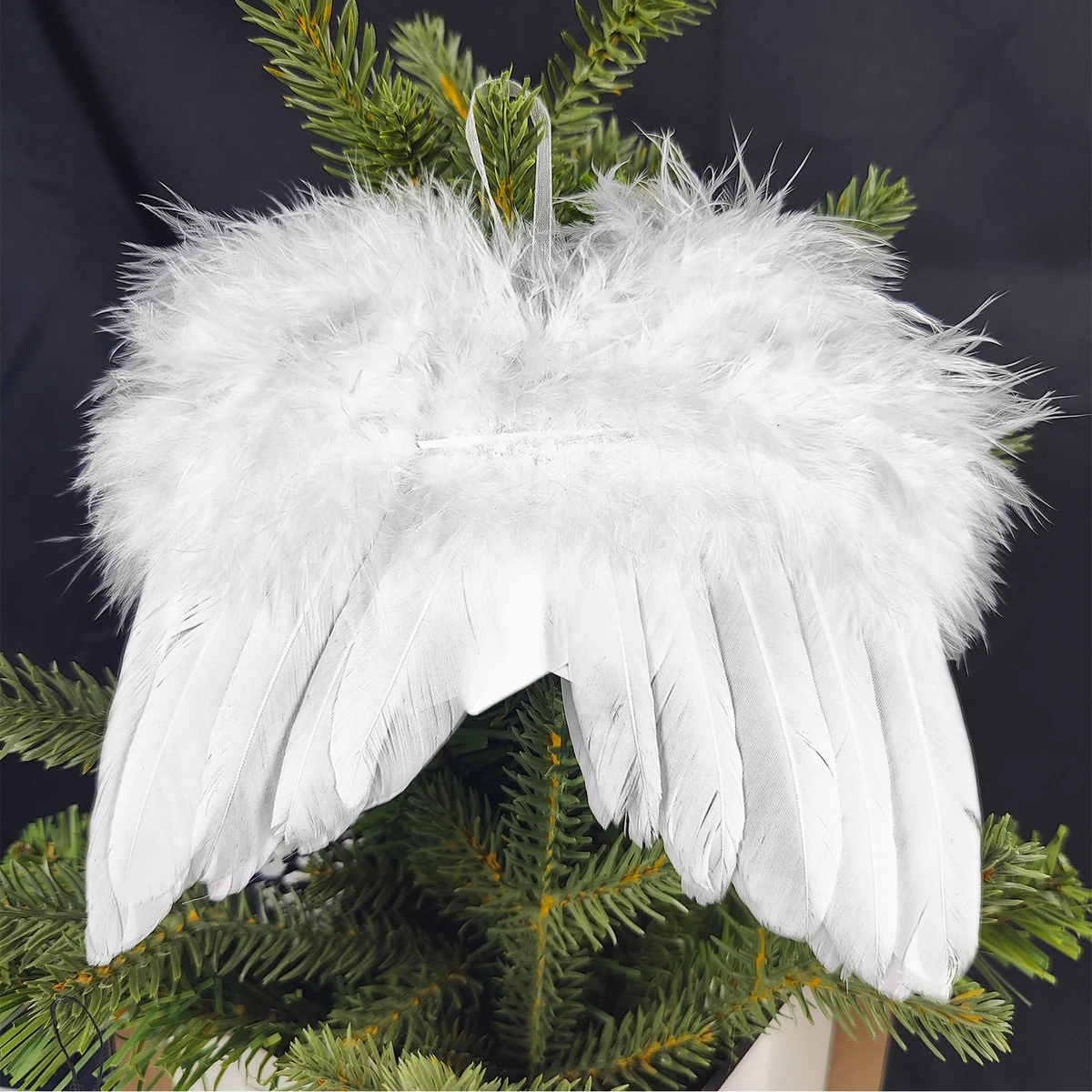 Free Shipping Beautiful Angel Wings Ribbon 1