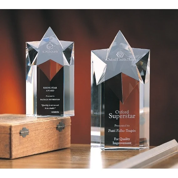 Designer Crystal Mega Star Award 1