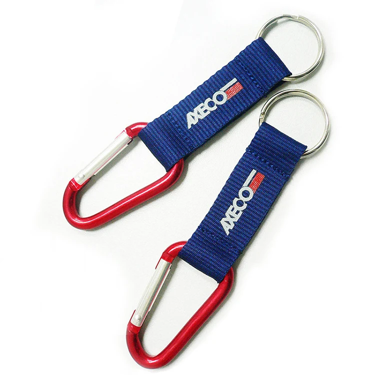 Lanyard Clip / Carabiner Keychain 1