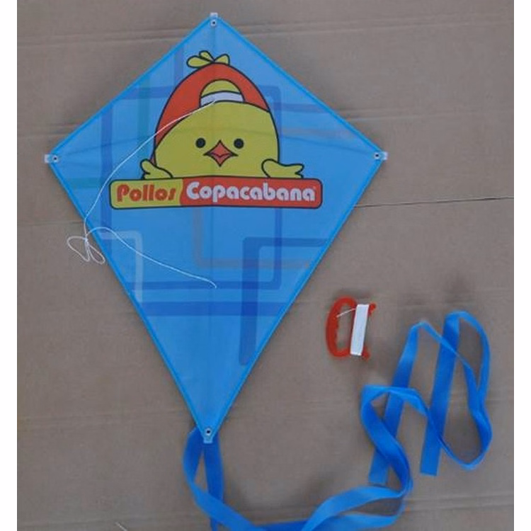 Outdoor Sports Best Promotional Advertising Flying Kite