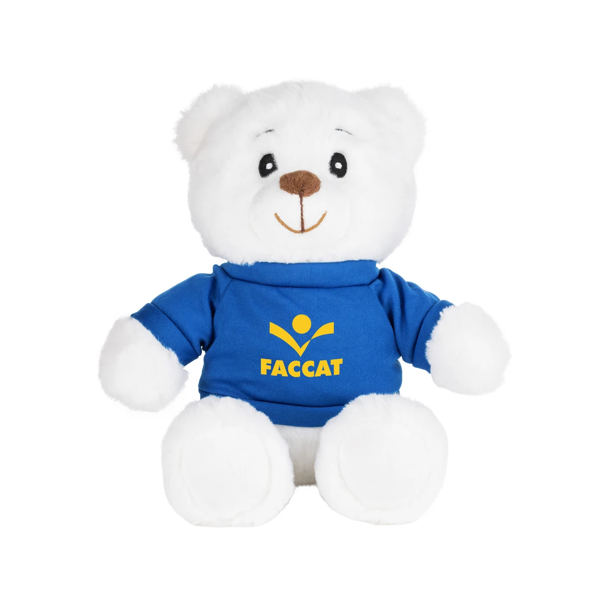 Robbie the Teddy Bear (with T-Shirt) 1