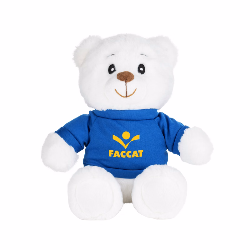 Robbie the Teddy Bear (with T-Shirt)