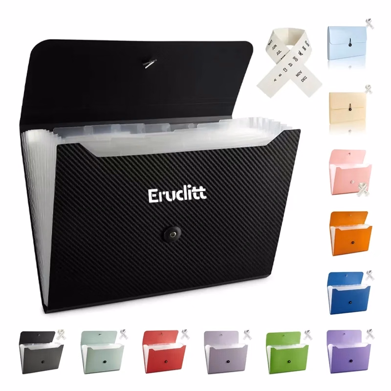 File Organizer 13 Pockets