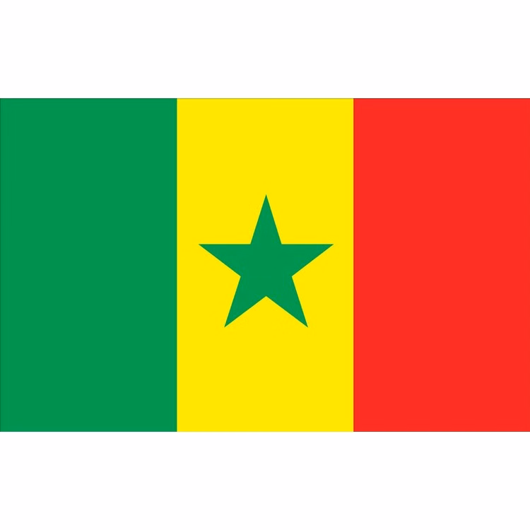 Senegal Flag - 2' x 3' - Nylon