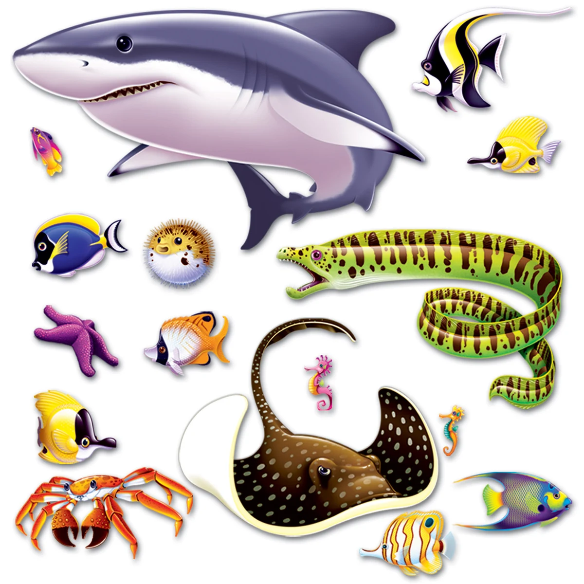 Marine Life Props 1