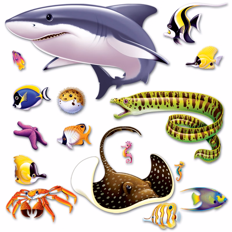 Marine Life Props