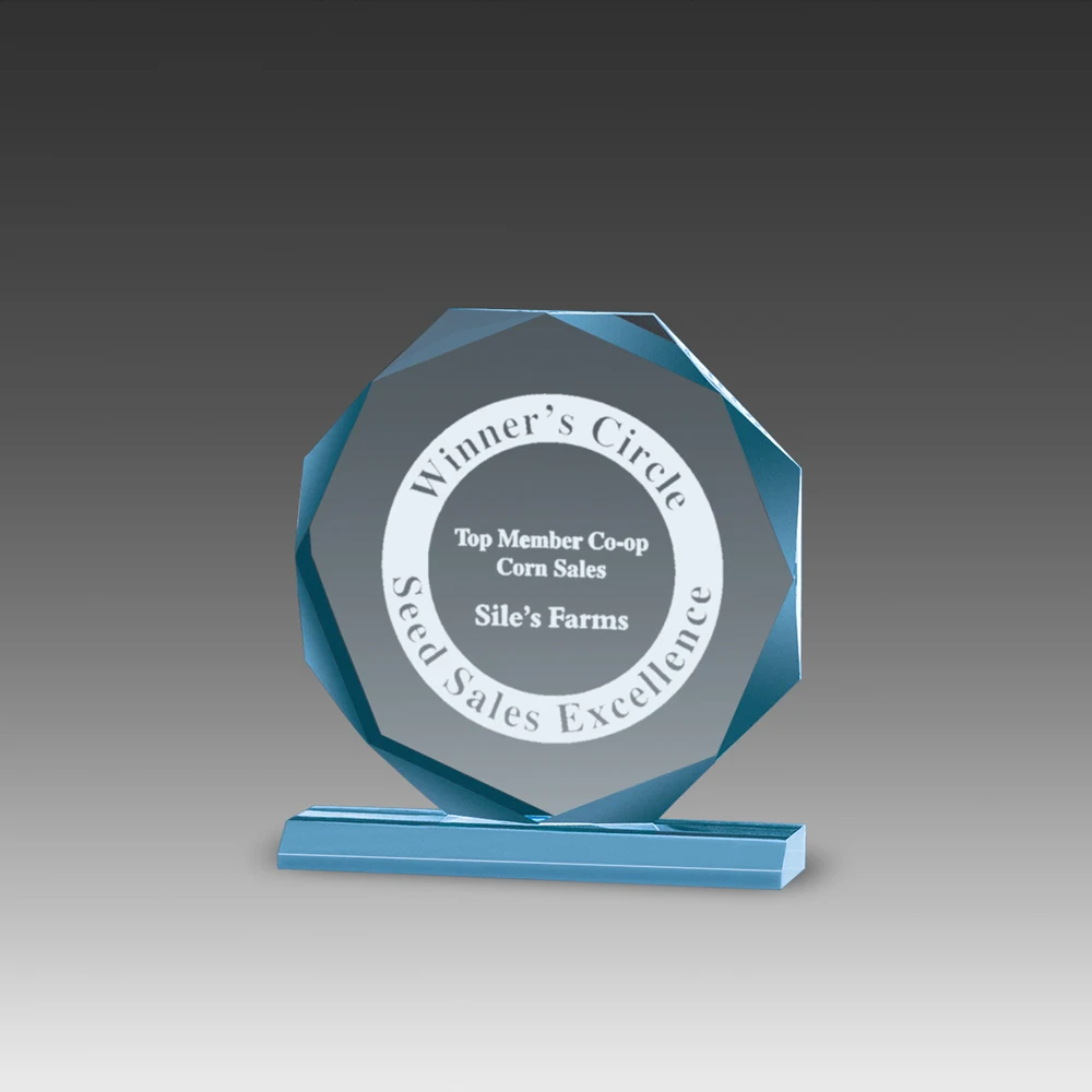 Premium Beveled Octagon Award (7"x7") 1