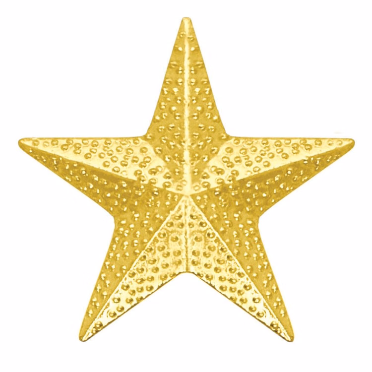 Star Bright Gold Chenille Lapel Pin (7/8")