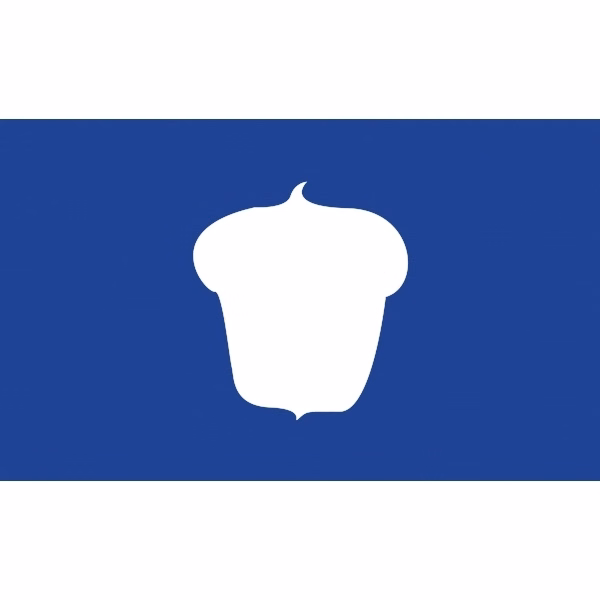 Officers Stick Flag - Treasurer