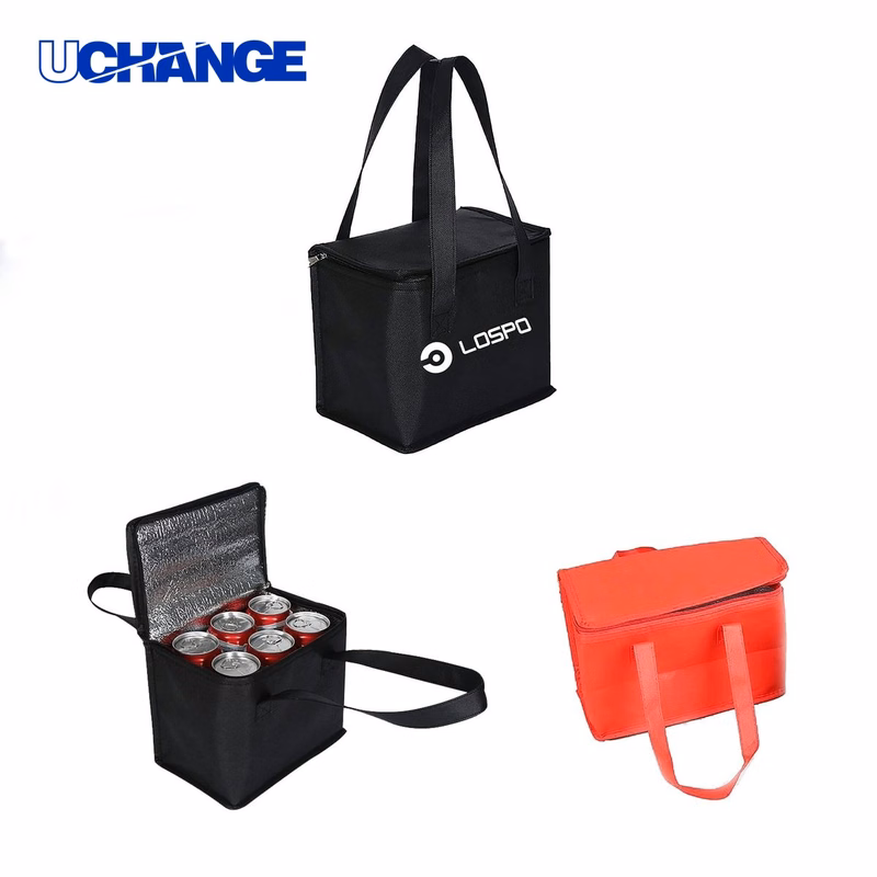 Portable Insulated Lunch Bag