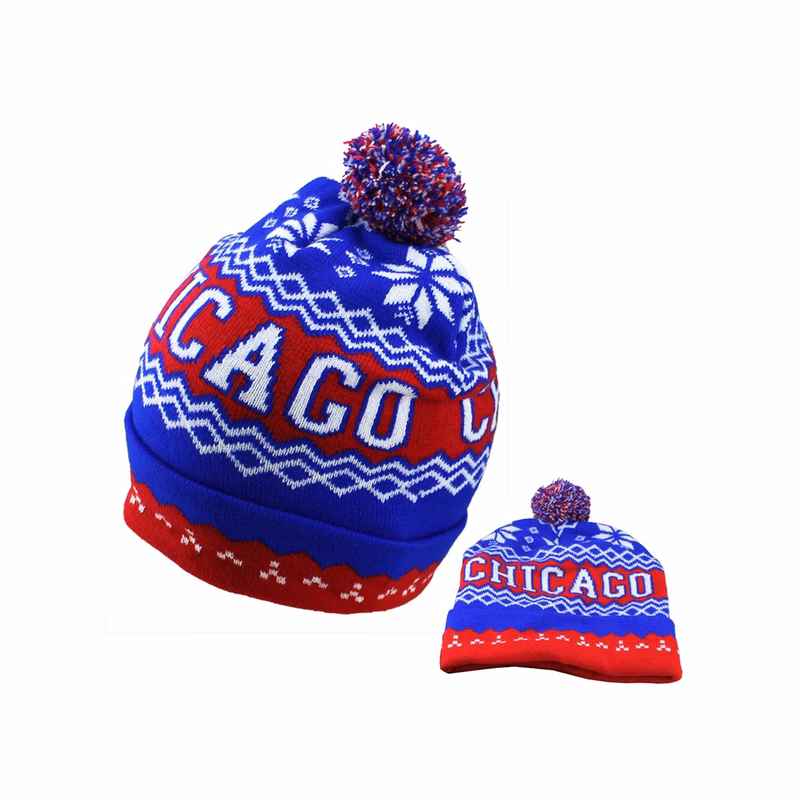 Roll Beanie with Direct Embroidery Knitted Hat Hair Ball