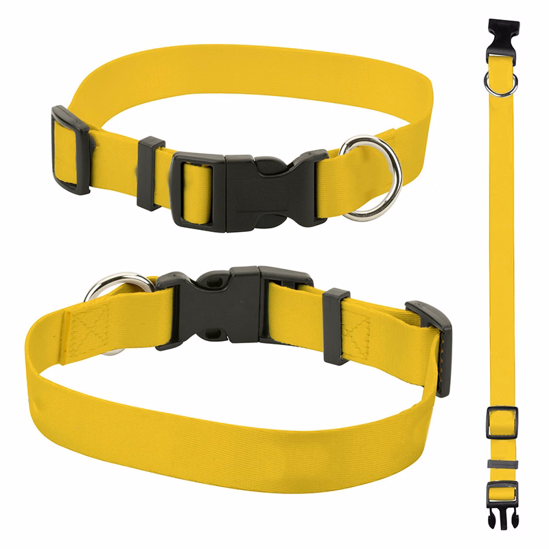 Sublimated Pet Collar
