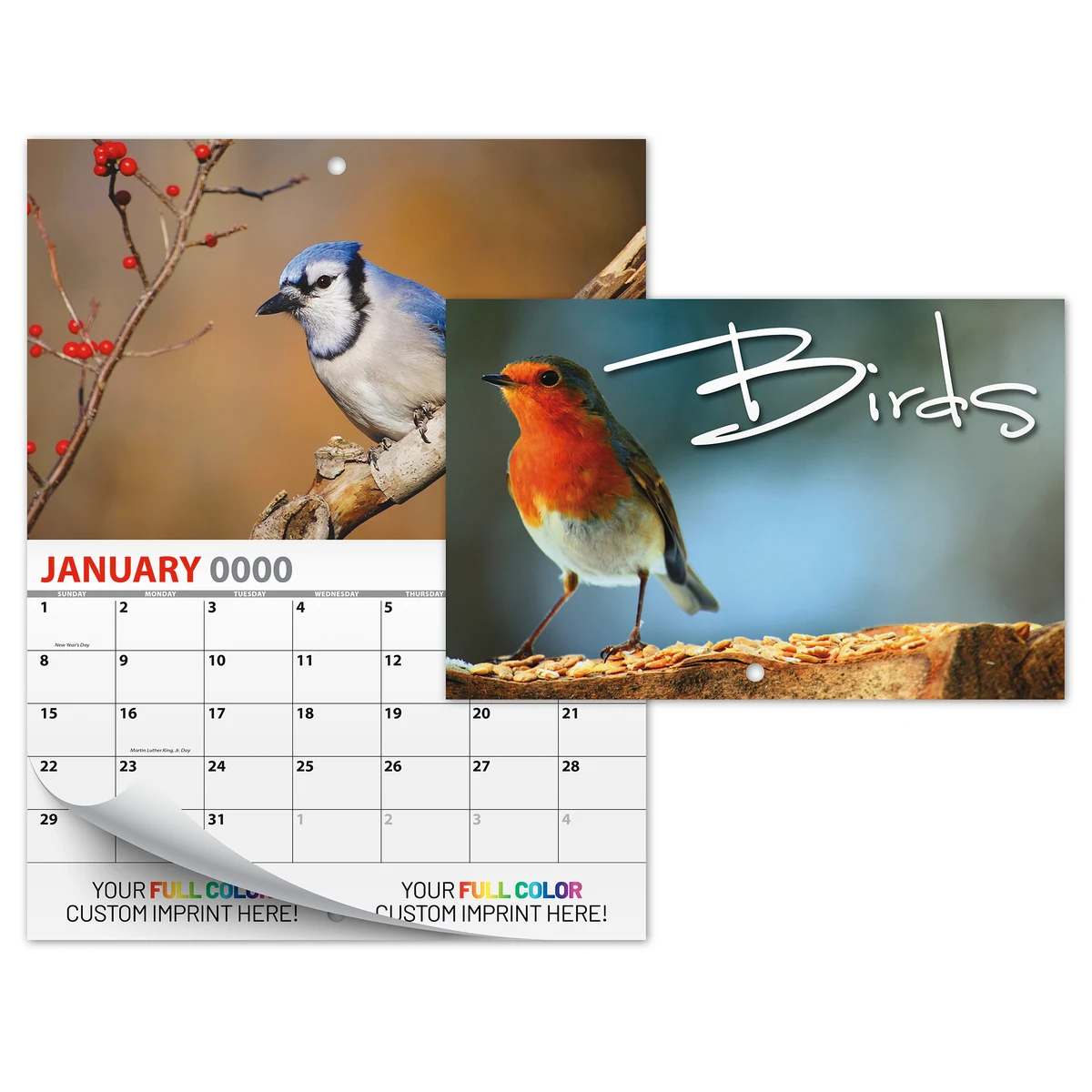 13 Month Mini Custom Photo Appointment Wall Calendar - BIRDS 1