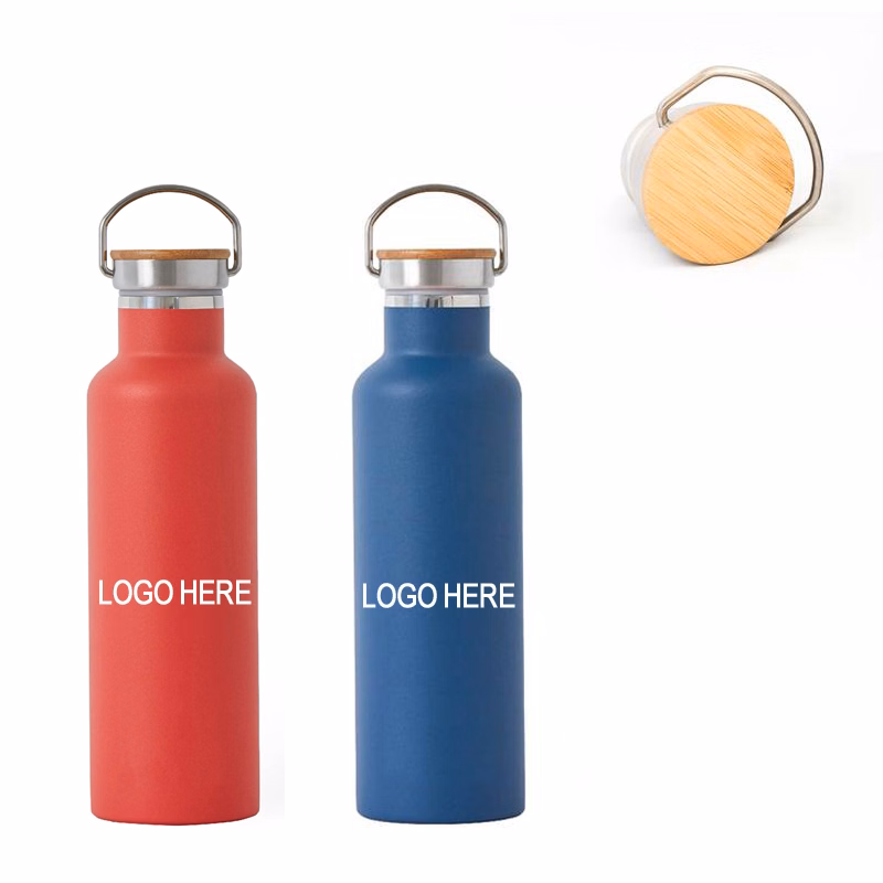 Stainless Steel Bottle