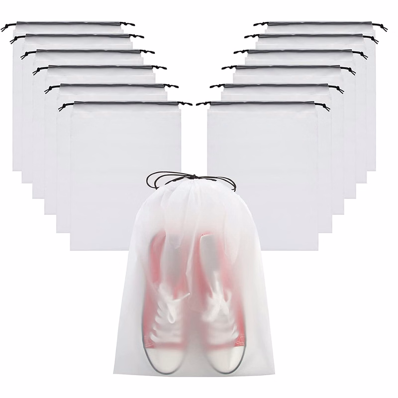 Transparent Shoe Bag