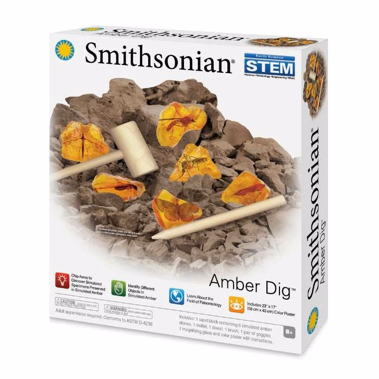Smithsonian Amber Dig Kits