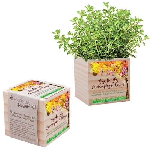 Wooden Cube Blossom Kit 1