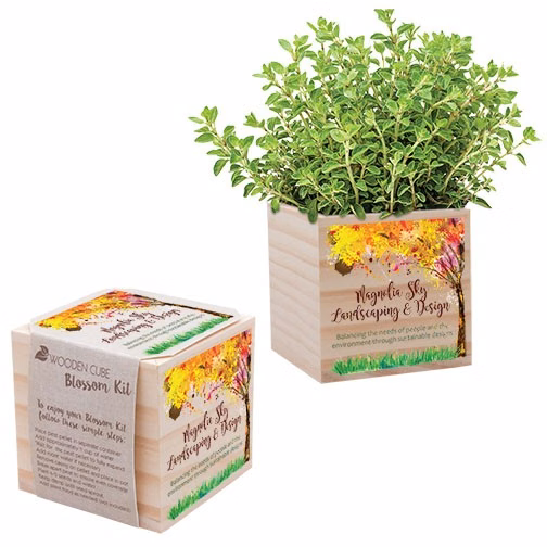 Wooden Cube Blossom Kit