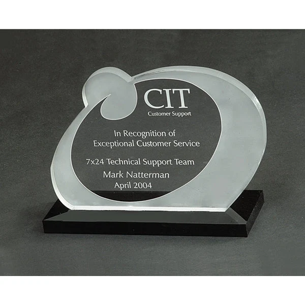 Custom Acrylic Award 1