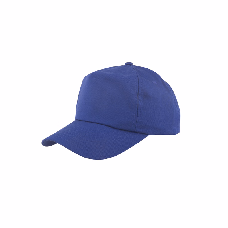 Solid Dad Hat